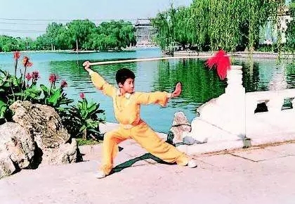 46岁吴京简介,吴京45岁拍的什么电影