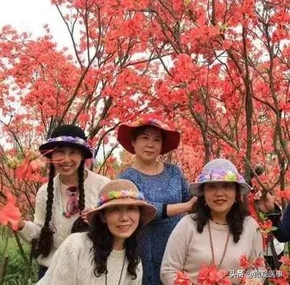 这张图看哭了多少老玩家,这几张照片看哭了无数人