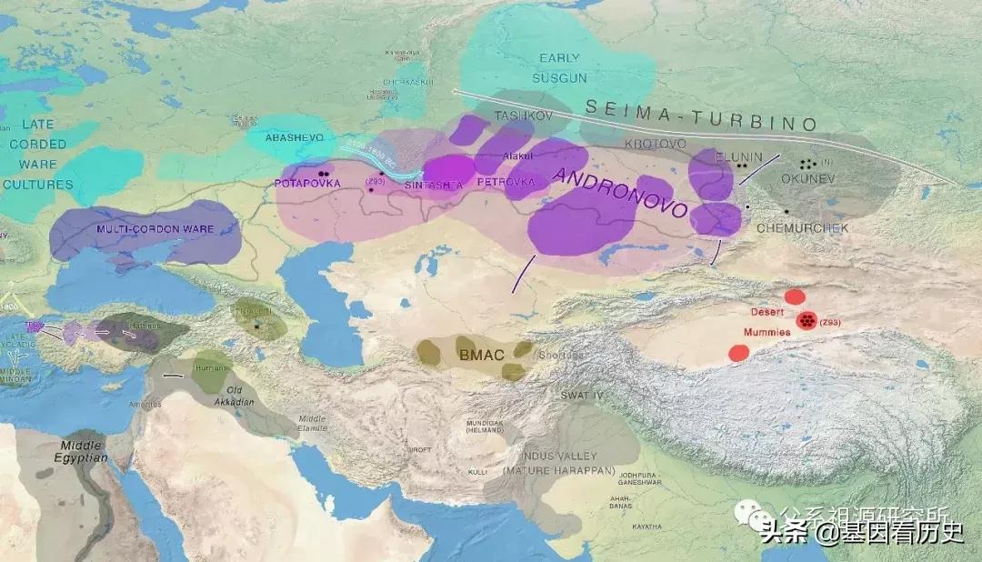 父系R1a人群系列——包括中国的楼兰人