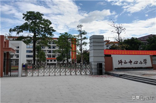 深圳坪山小学排名2019,深圳坪山小升初小学排行榜