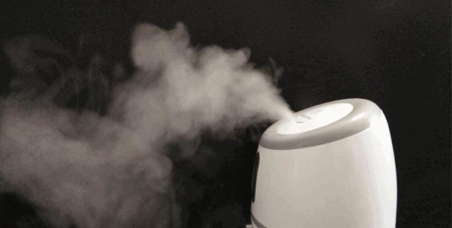 无雾加湿器和有雾加湿器哪个好用,除菌加湿器和普通加湿器有区别吗
