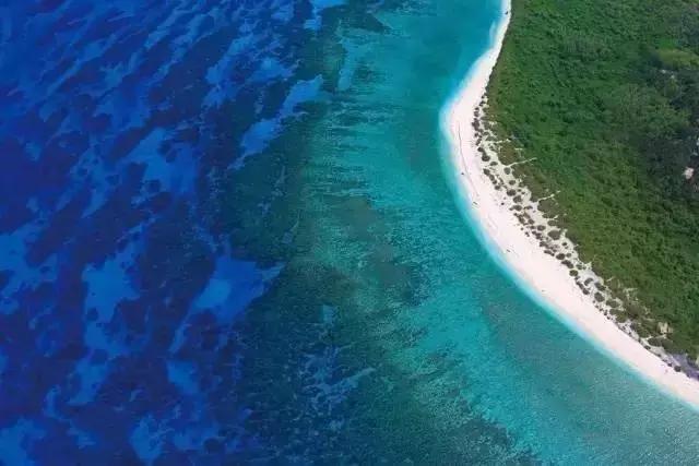 杨颖黎族海岛素颜照,海岛素颜照