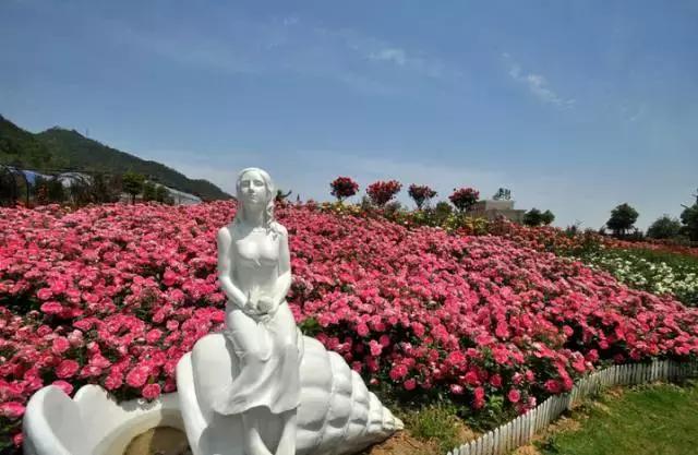 宁波周末带娃玩的好去处,宁波旅游度假山庄