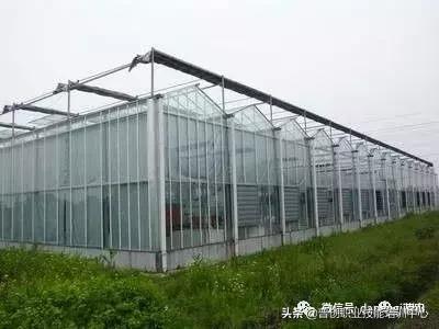 建一个温室大棚大概需要多少人工,温室大棚建造前景