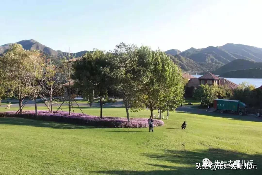 北京最有度假感的酒店，就在金海湖