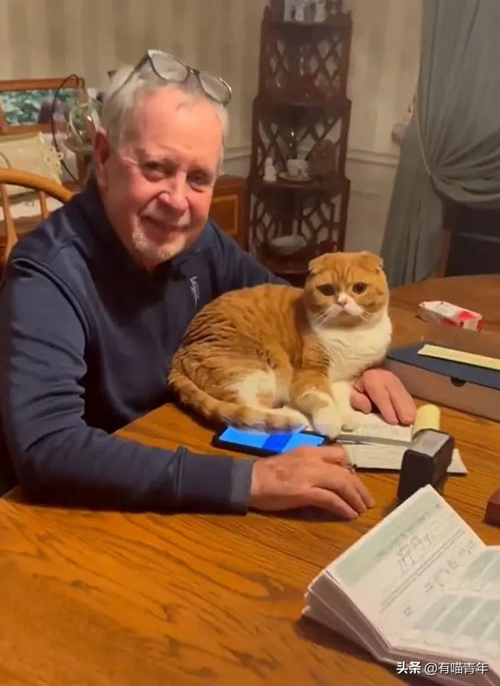 养猫也能治疗癌症?是真的