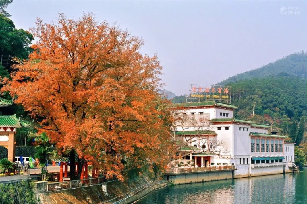 从化温泉酒店套餐,从化特价温泉度假酒店