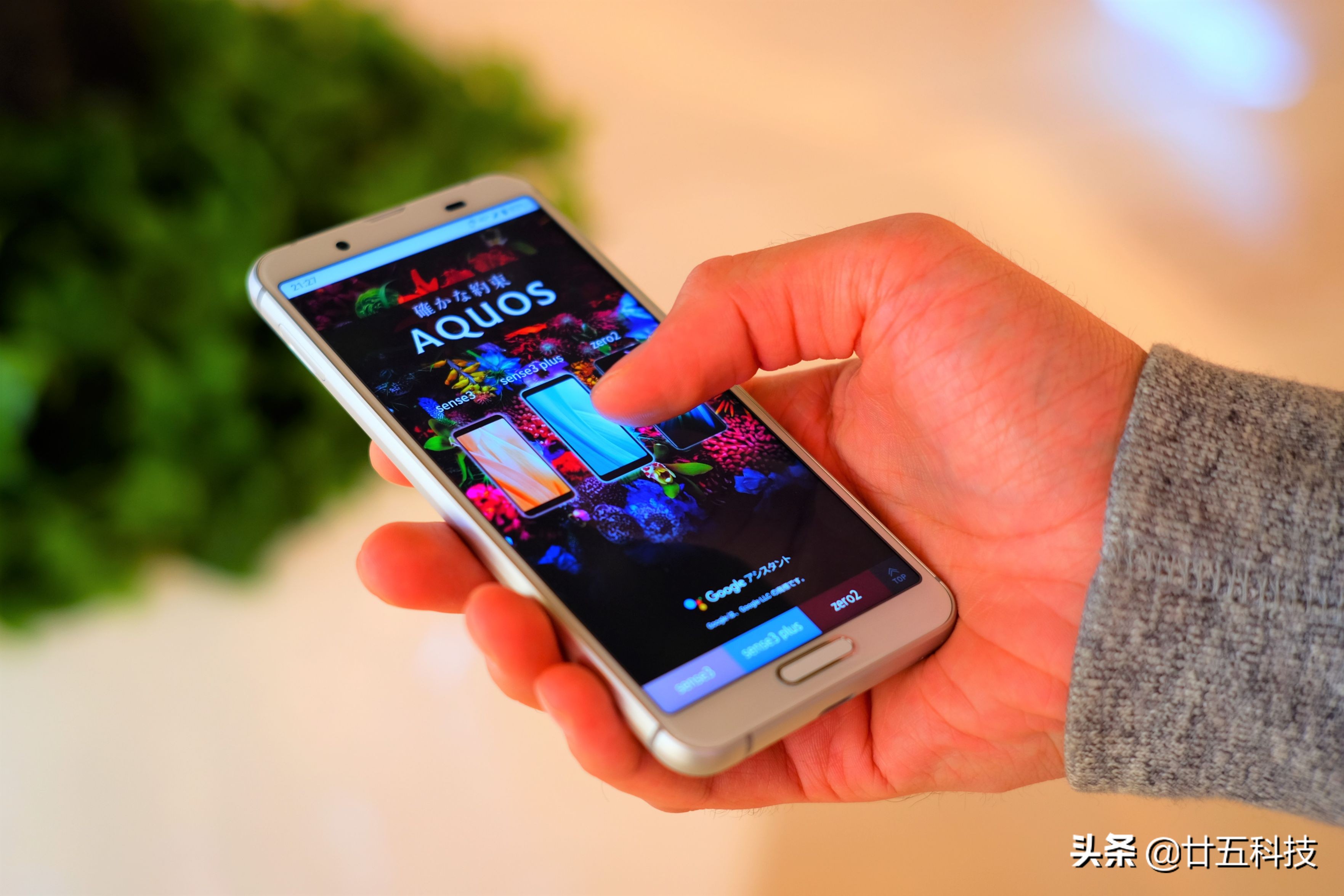 夏普aquossense3发布,aquossense3plus评测