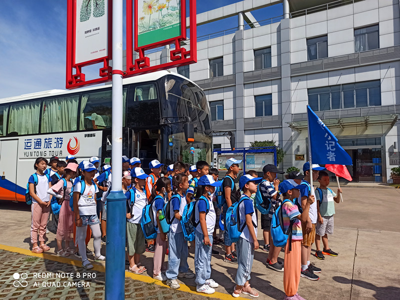 清洁能源绿色低碳发展,清洁能源助推绿色发展