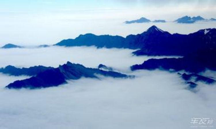 一朝春满暗香来——月溶溶《月华水光》词集