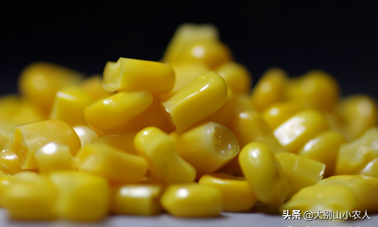 要想鱼上岸，就拿粮食换！用这5种打窝方法，利用好每一粒窝料