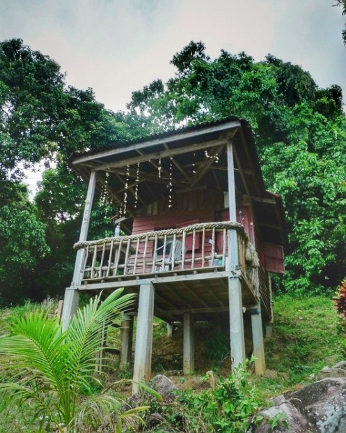 徒步探访马来西亚孤岛小村：医疗免费，孩子辍学家长坐牢