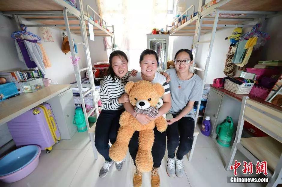 我辛辛苦苦养好了,他轻轻松松毁掉了