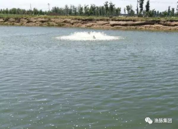 鱼塘消毒常用药剂,鱼塘用什么消毒液最好