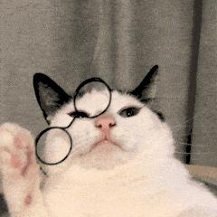 微信翻译怎么用中文翻译成英文,微信中的翻译功能对方能看到吗