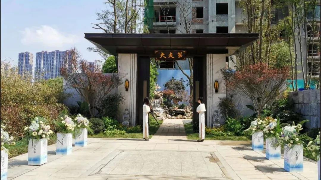 火凤凰浴火中如何重生,看浴火重生的凤凰