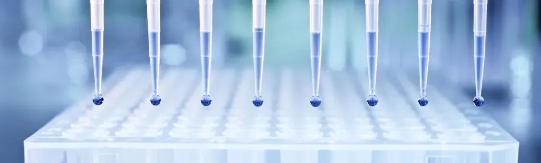 欧陆科技集团上海分公司,欧陆科技集团高级销售