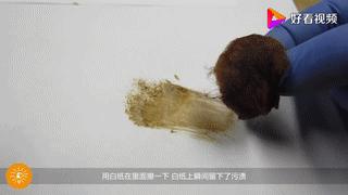 二手烟的危害对孩子有多大,吸二手烟对孩子危害究竟有多大