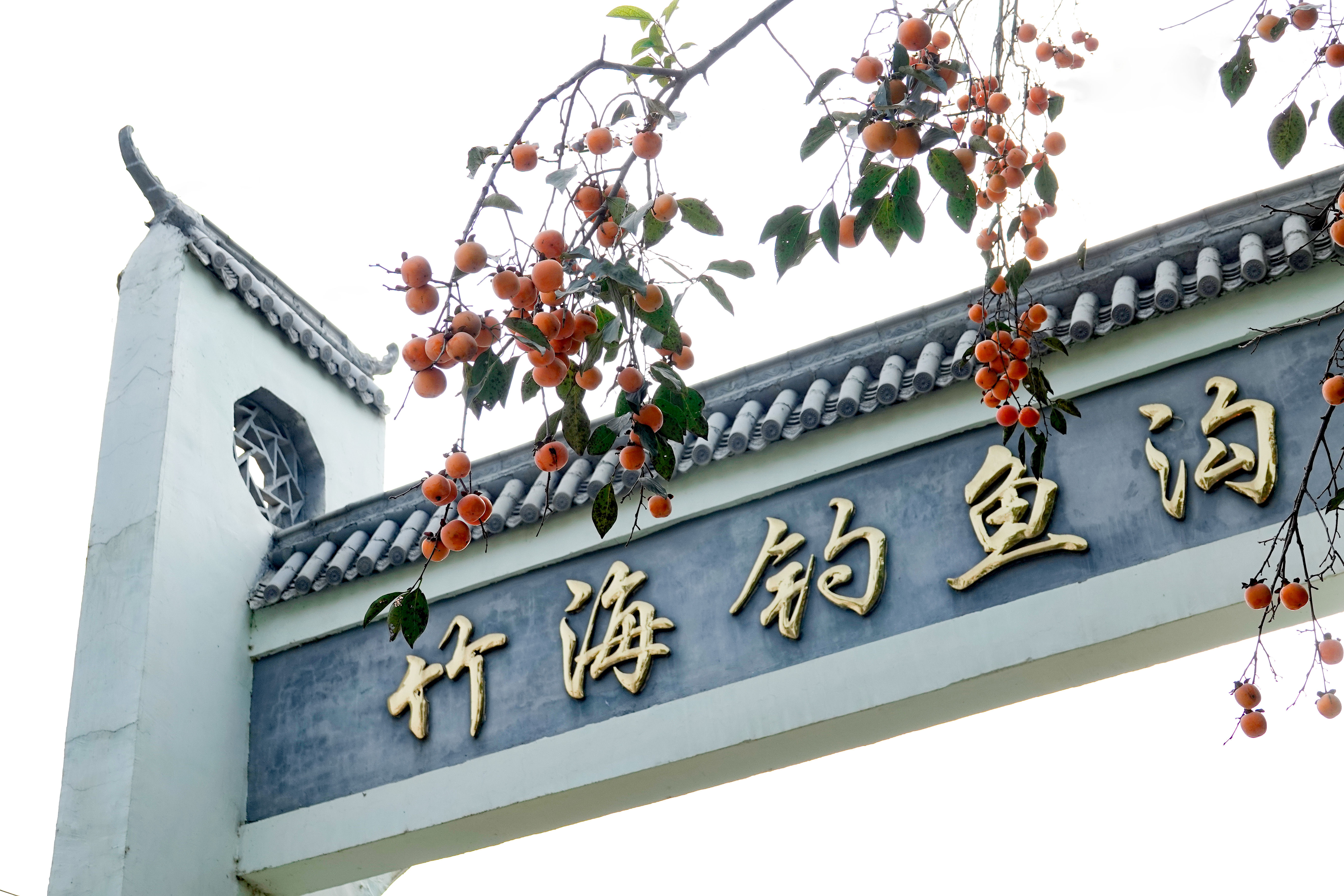 鍥藉簡鍋囨湡缁堜簬鍑哄彂,鍥藉簡鍋囨湡濡傜害鑰岃嚦