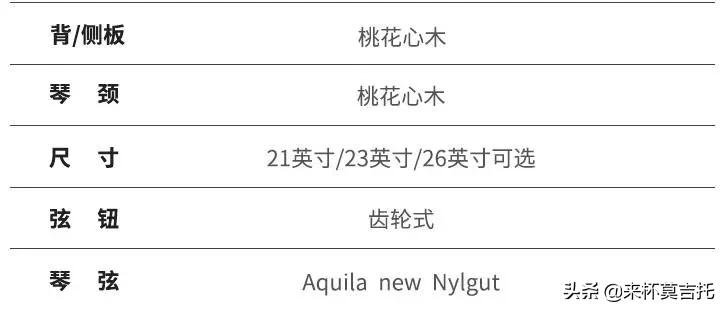 尤克里里价格品牌推荐,初学如何选购尤克里里