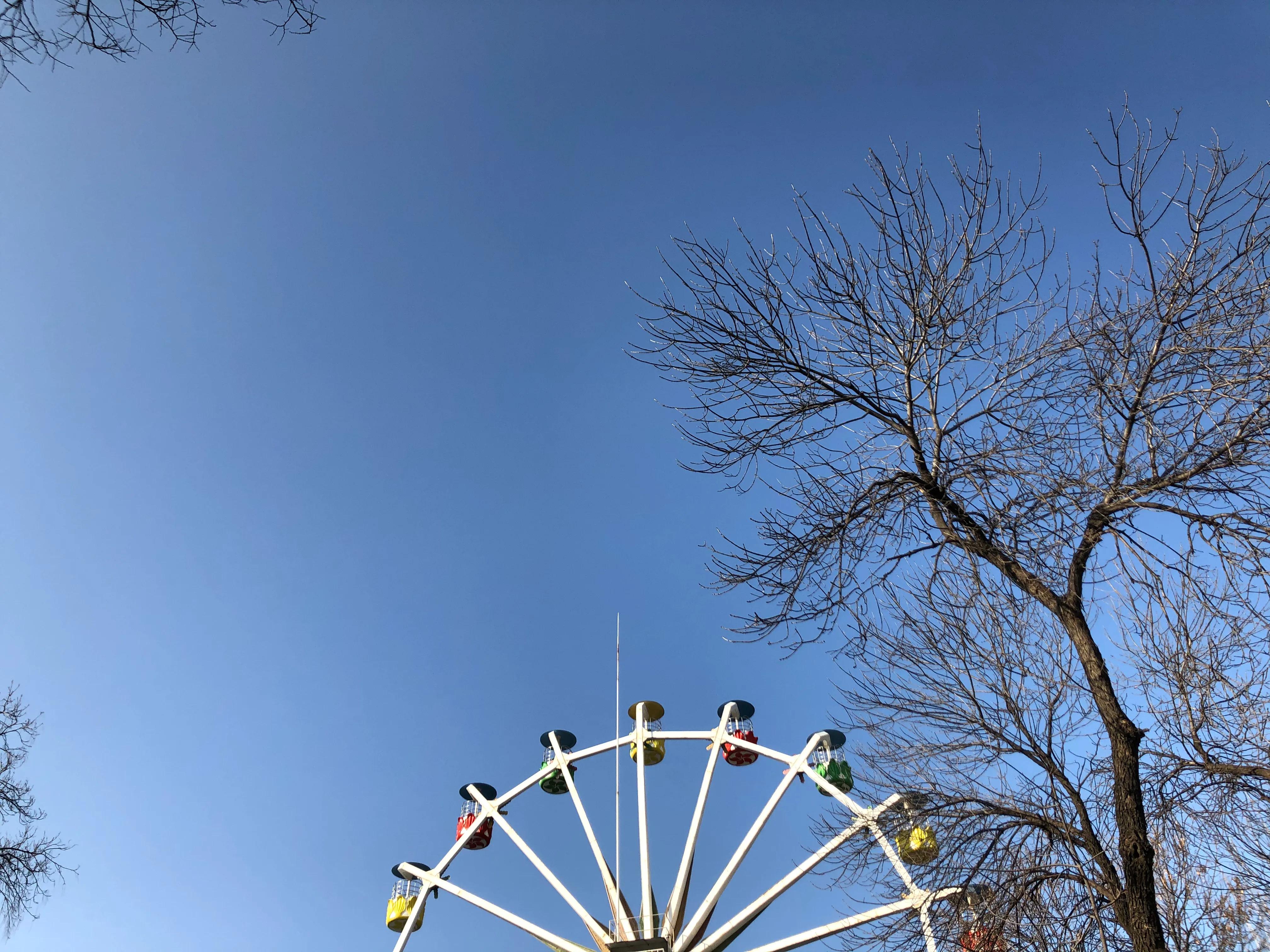 平顶山河滨公园旅游攻略,平顶山森林公园游记