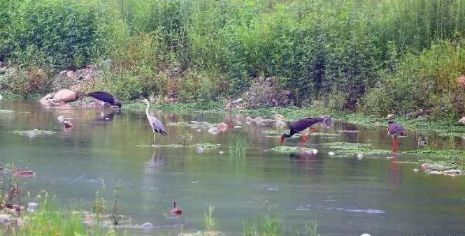 野三坡百里峡景区一日游,野三坡十渡3天旅游攻略