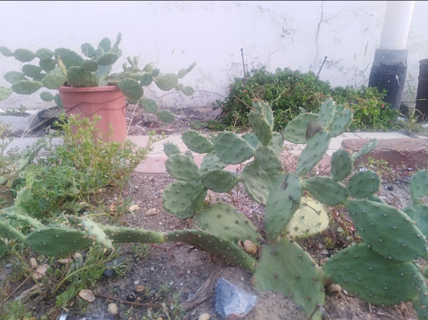 王玉：南阳益博社工的初秋一日行纪