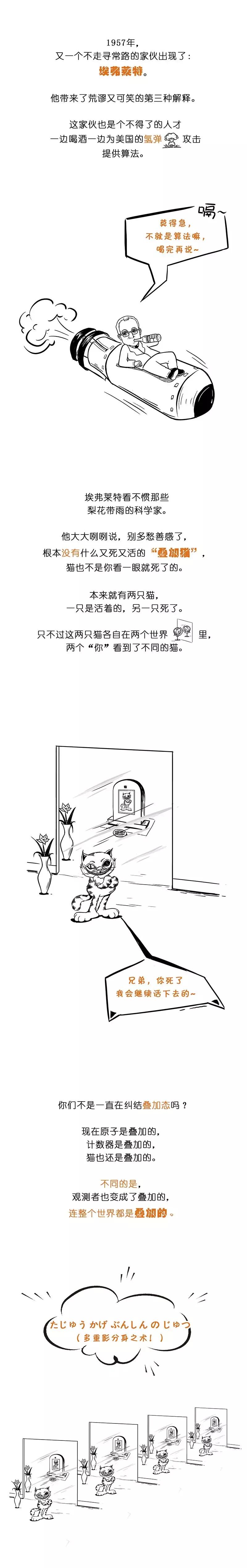 薛定谔的猫最简单最直白的解释,薛定谔的猫和杨氏双缝干涉实验