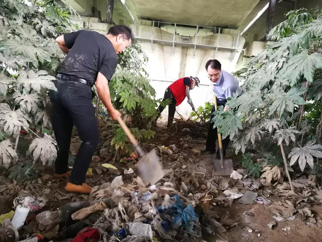 栖霞公路环境整治,栖霞市综合治理