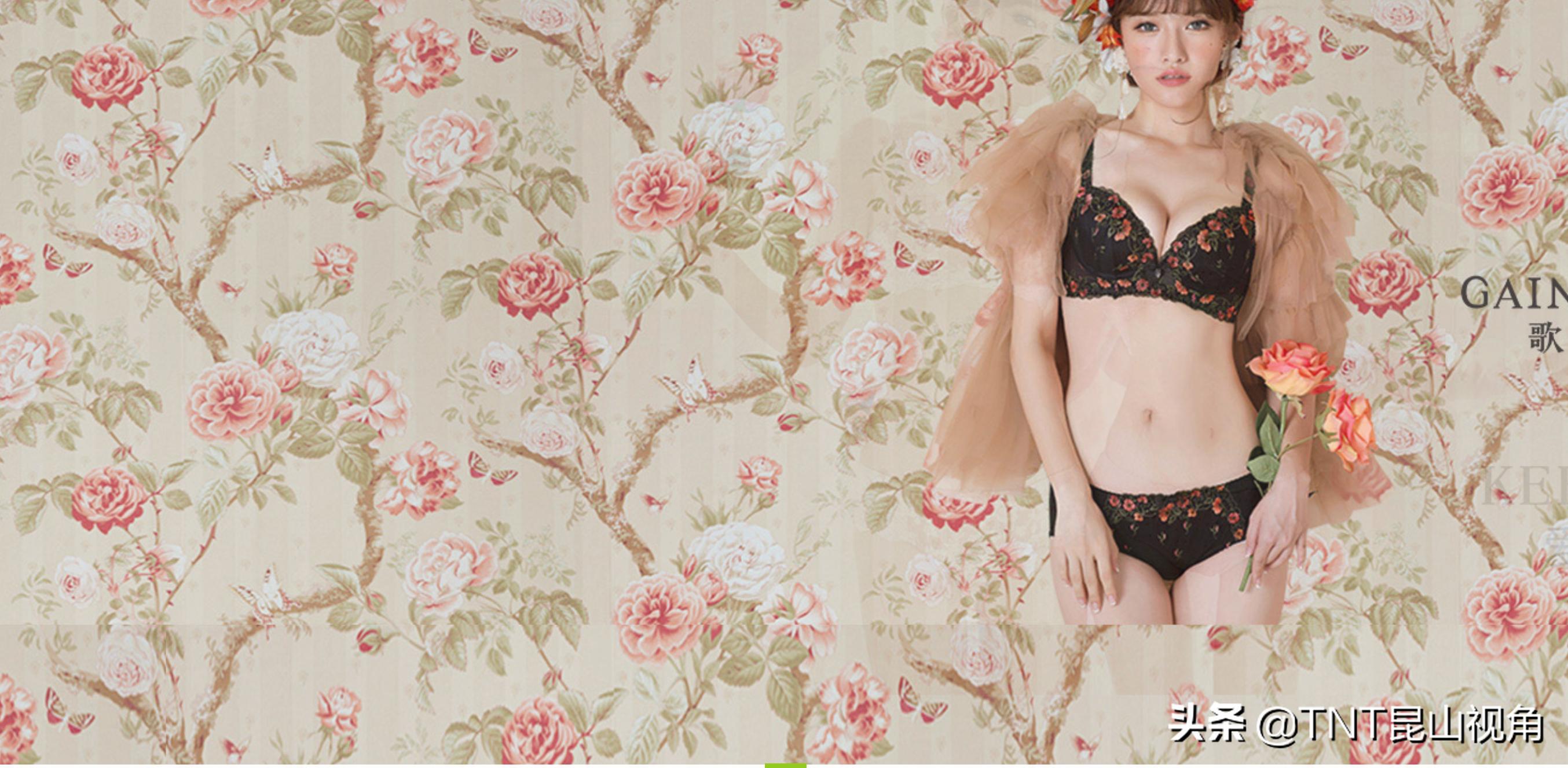 品牌内衣美背十大排名,美背内衣品牌前十大排名榜