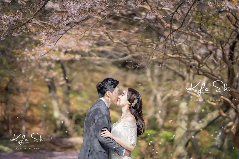 樱花季去日本价格高吗,樱花季去日本旅行