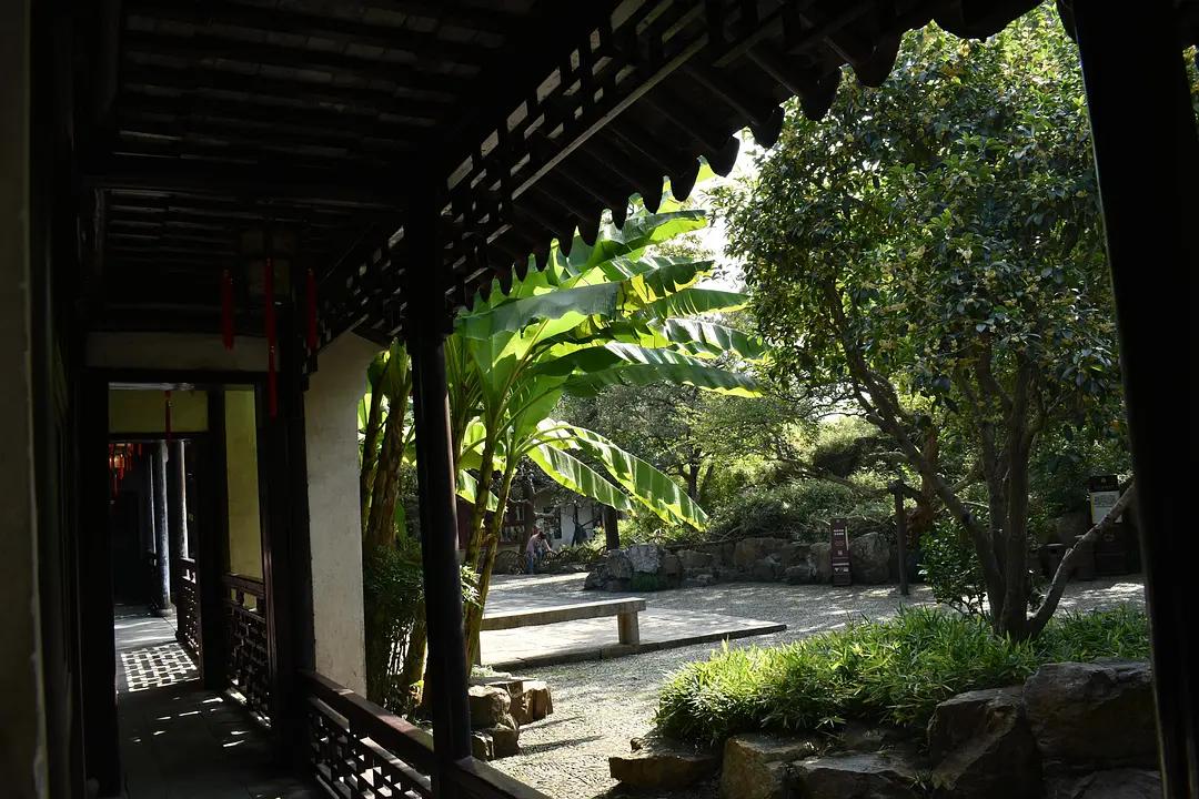 苏州城东北隅的赏桂佳处——耦园