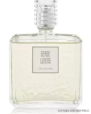 芦丹氏冷门香,冬日不撞香就靠它