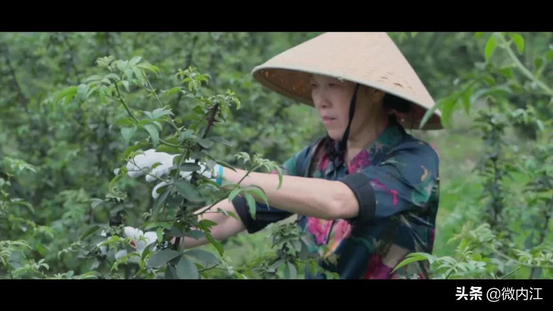 哦买噶！内江人的朋友圈这两天拿跟拉们刷屏了——