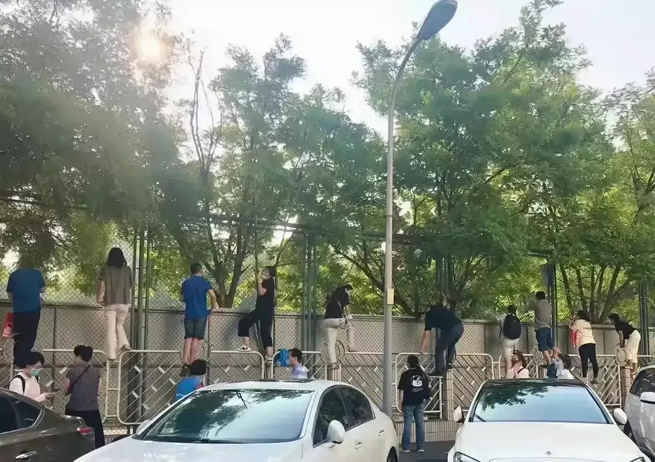 11种童年的零食你吃过哪几种,回忆童年校园经典怀旧休闲零食