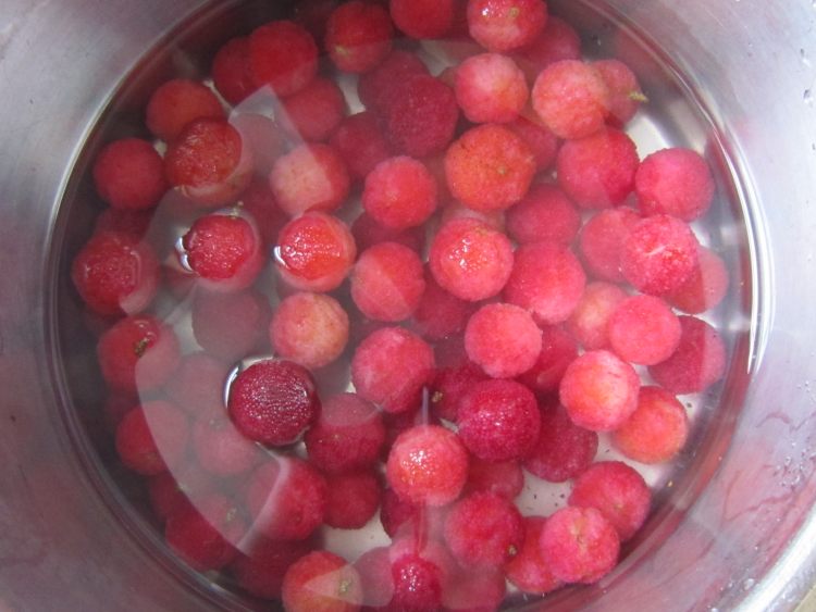 杨梅酒怎么泡出来好看又好喝,怎么泡的杨梅酒才好喝