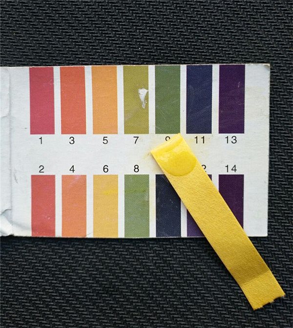 让肌肤焕发生机的小tips,让你重塑18岁水嫩肌肤