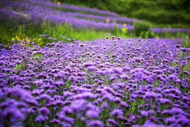 六盘水宜居城市,六盘水被评为最佳宜居城市