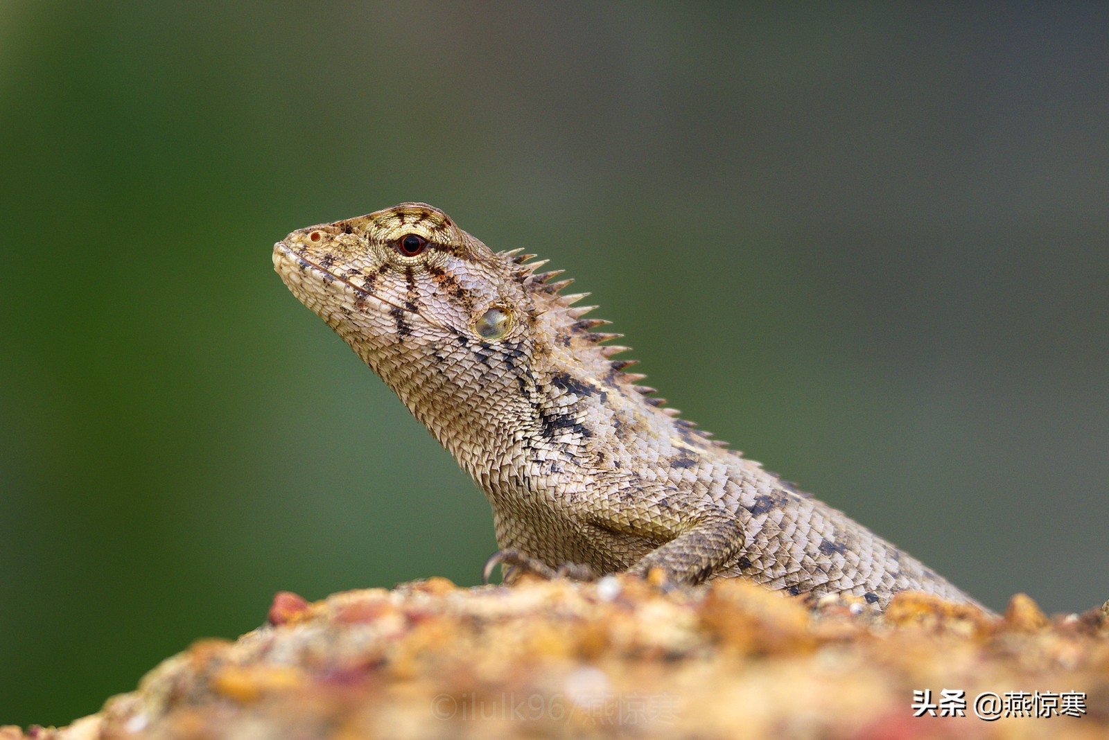 宾得相机配理光的镜头,宾得理光镜头推荐