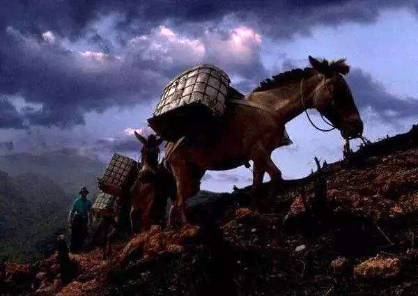 说文解字第168讲,说文解字第352课视频讲解