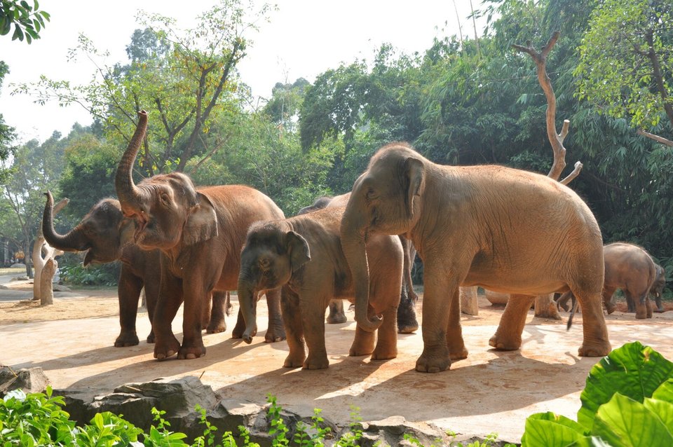 广州五一各大景区现状,广州五一有什么景点