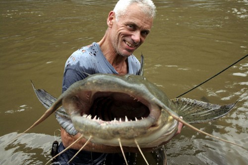 世界上最毒的鱼食人鱼只能排第五,世界上十大最危险的鱼