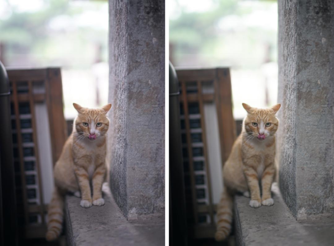 夜神50mm铭匠光学,铭匠的夜神相机镜头