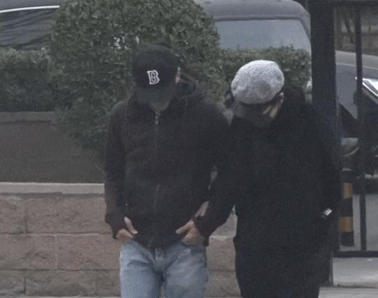 2000年王菲谢霆锋世纪牵手完整版,王菲谢霆锋世纪牵手场面