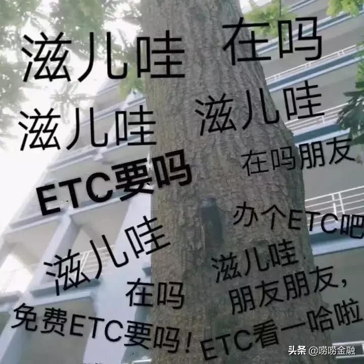 基本工资不足3000占多少,基本工资不足3000