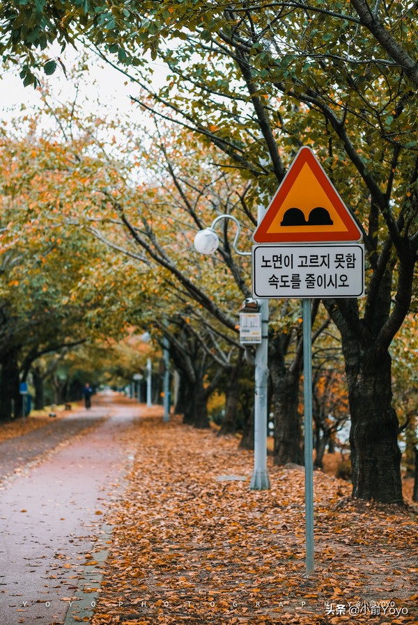 韩国旅游不可错过的景点,韩国不能错过的3部电影