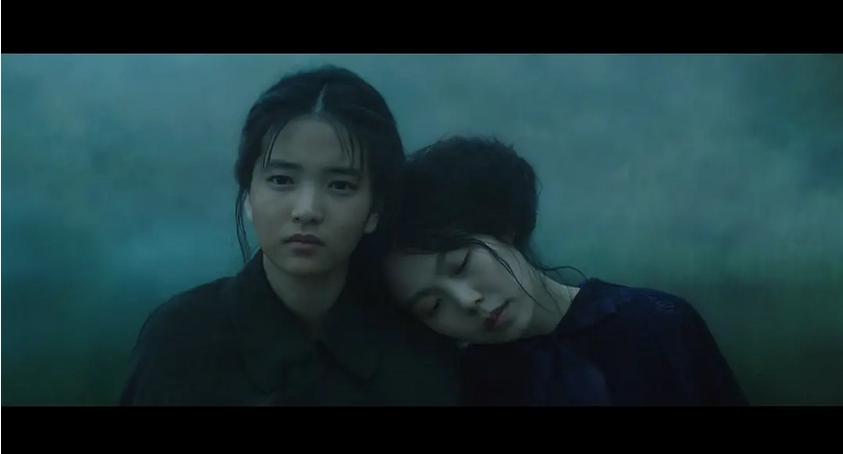 朴赞郁作品《小姐》：荆棘之城的曼陀罗，“绕指柔”中的百味情