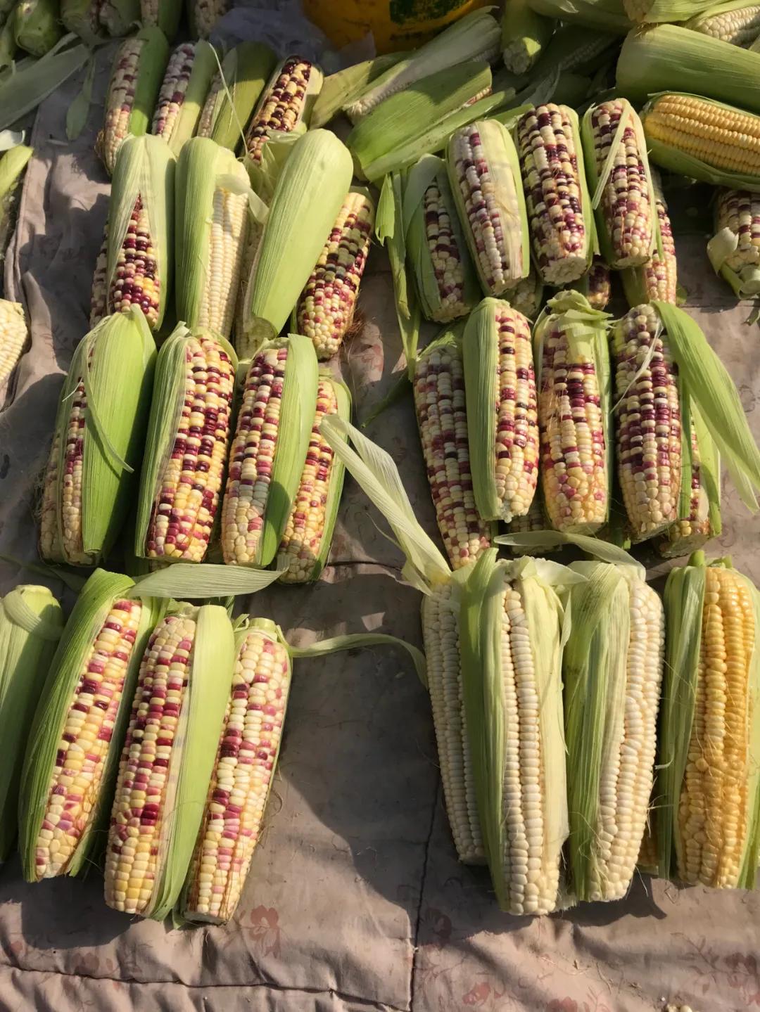 周边最便宜的大集在哪里,10元一两的大集