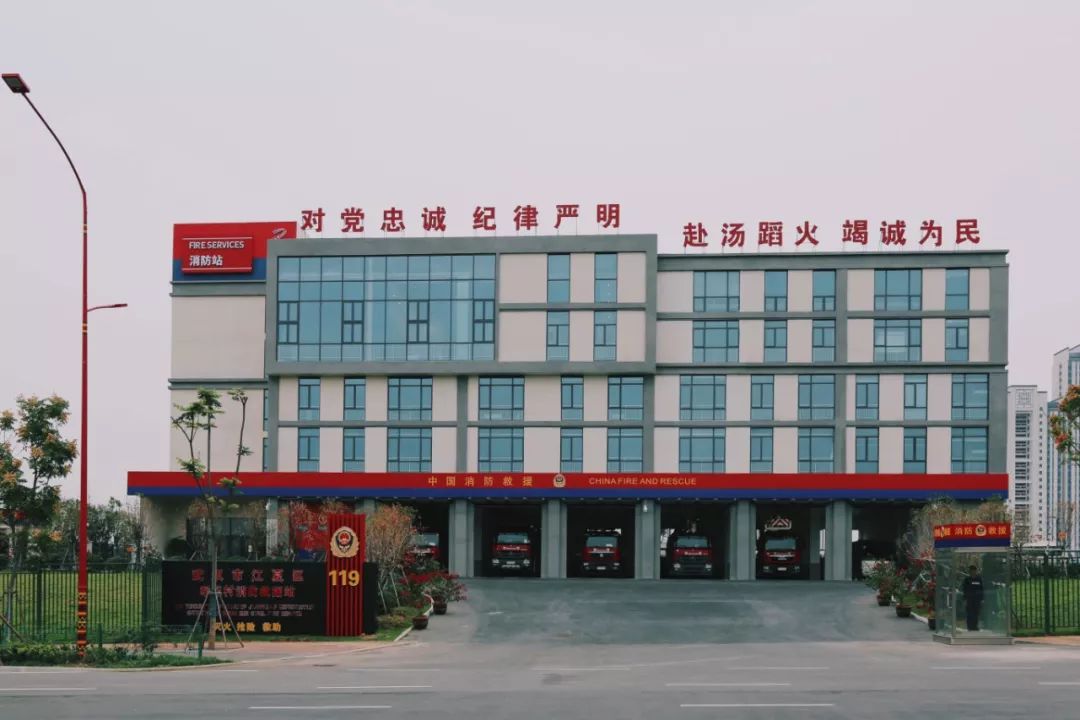 在江夏，我遇见了青松