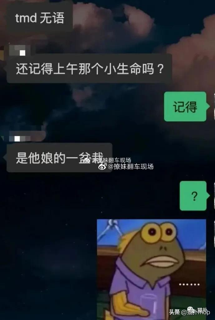 沙雕图聊天,沙雕图片一看就会让人笑不停